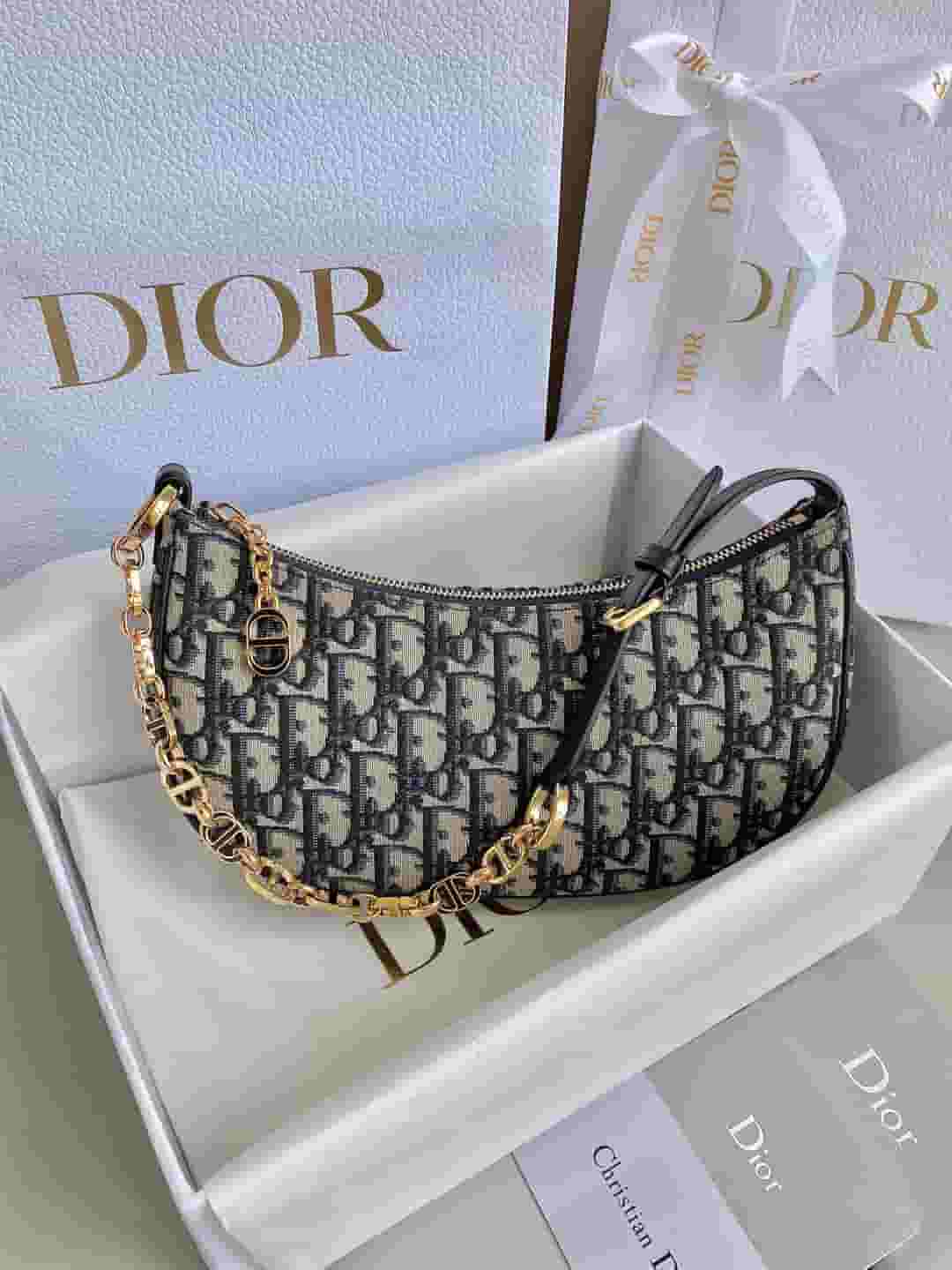 Yupoo Dior Lounge Oblique Hobo Bag With Adjustable Chain - Main Preview
