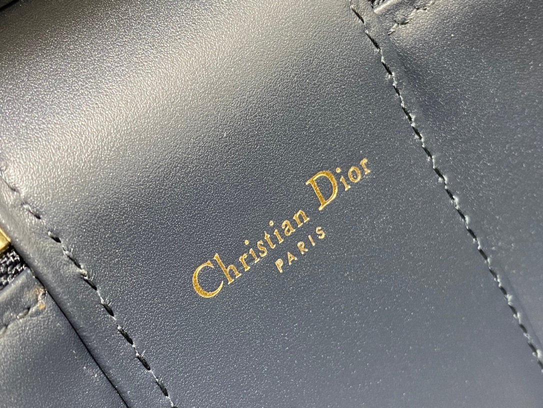 Yupoo Dior Signature Vanity Case With Cd Clasp image 9