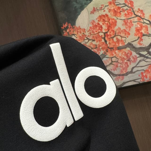 Alo short-sleeved Yupoo T-shirt fashion brand 25SS style | Rep Clothing image 9