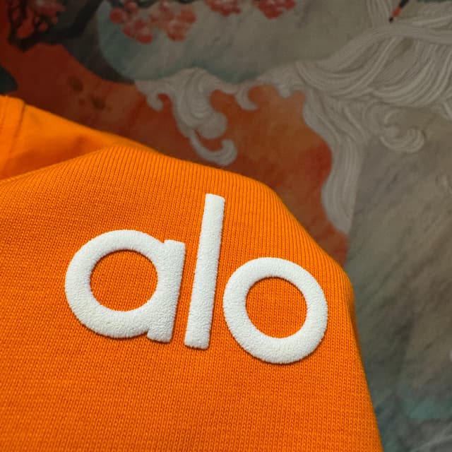 Alo short-sleeved Yupoo T-shirt fashion brand 25SS style orange | Rep Clothing image 6