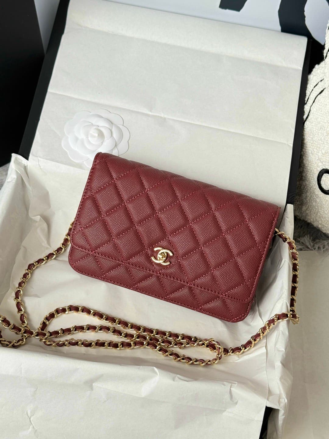Rep Bag Chanel WOC Chain Wallet – AP4291