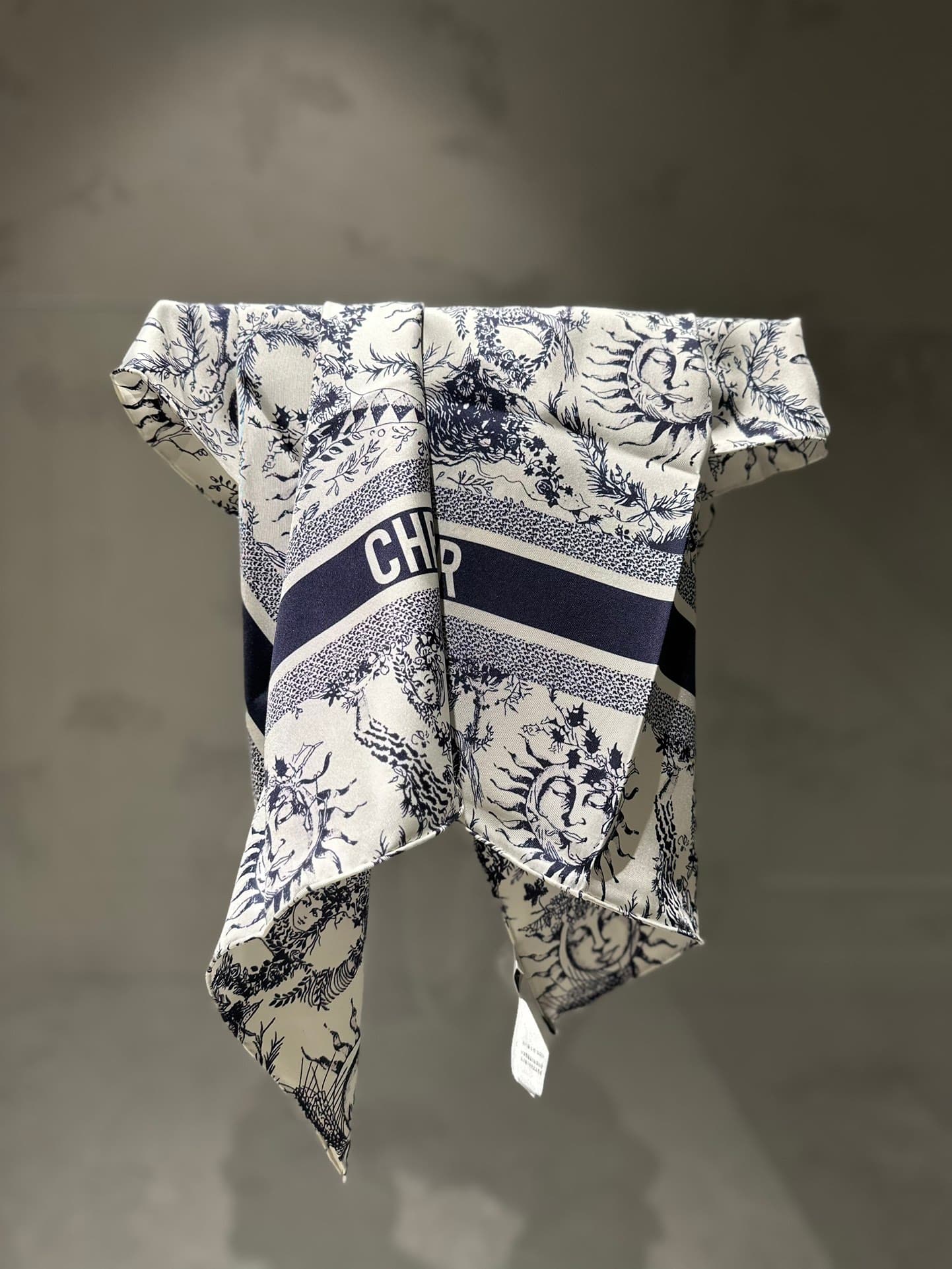 YUPOO Dior Silk Scarf Women Style image 4