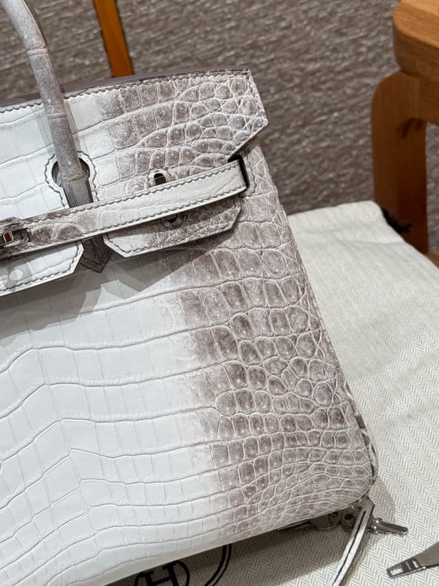 Hermès Birkin 25 Himalaya - Niloticus Crocodile (Silver Hardware) | Yupoo Rep Bags image 6