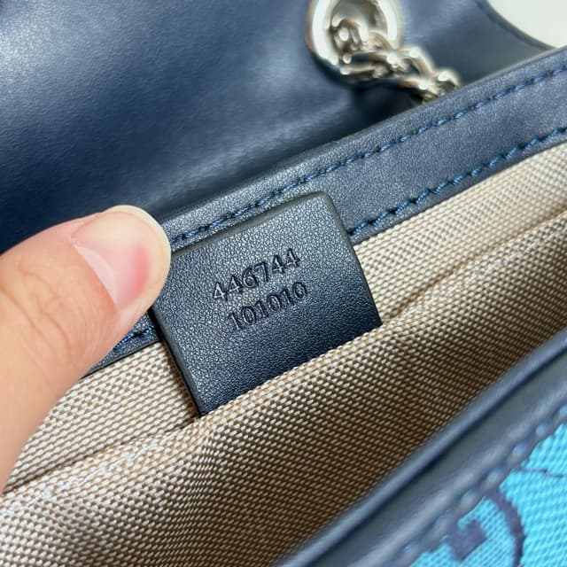 LV Colorblock GG Marmont Mini Bag - 22cm | Yupoo Rep Bags image 8