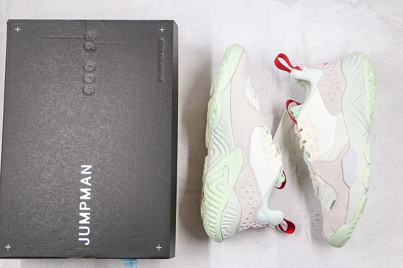 Rep Shoes:Nike Air Jordan(aj) Sneakers CXS100382 image 9