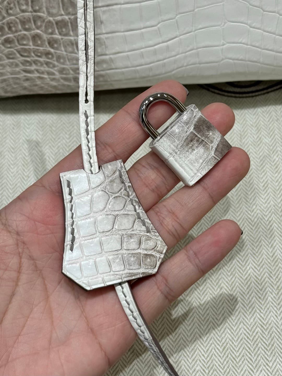 Hermès Birkin 25 Himalaya - Niloticus Crocodile (Silver Hardware) image 3