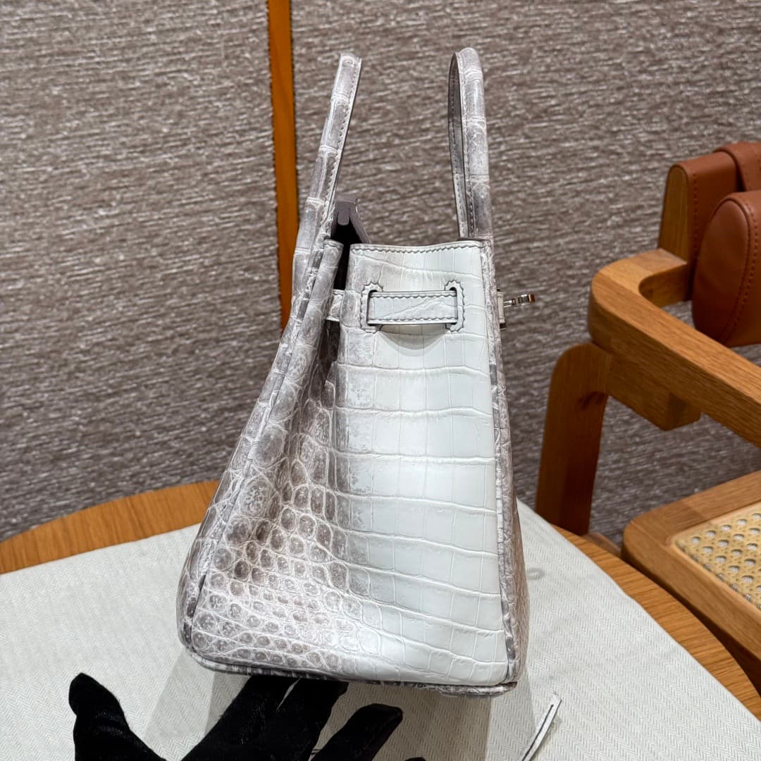 Hermès Birkin 25 Himalaya - Niloticus Crocodile (Silver Hardware) image 4