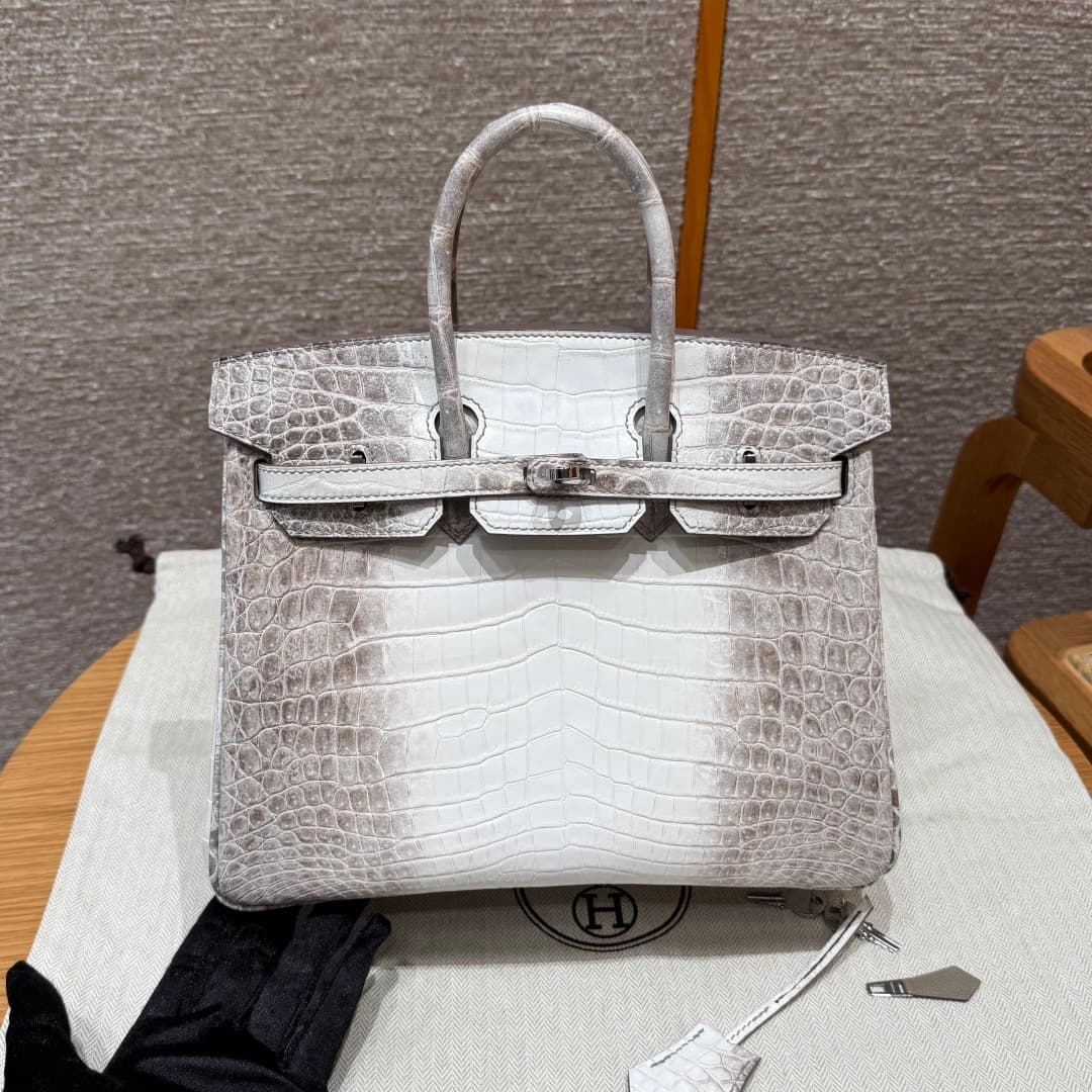 Hermès Birkin 25 Himalaya - Niloticus Crocodile (Silver Hardware) image 5