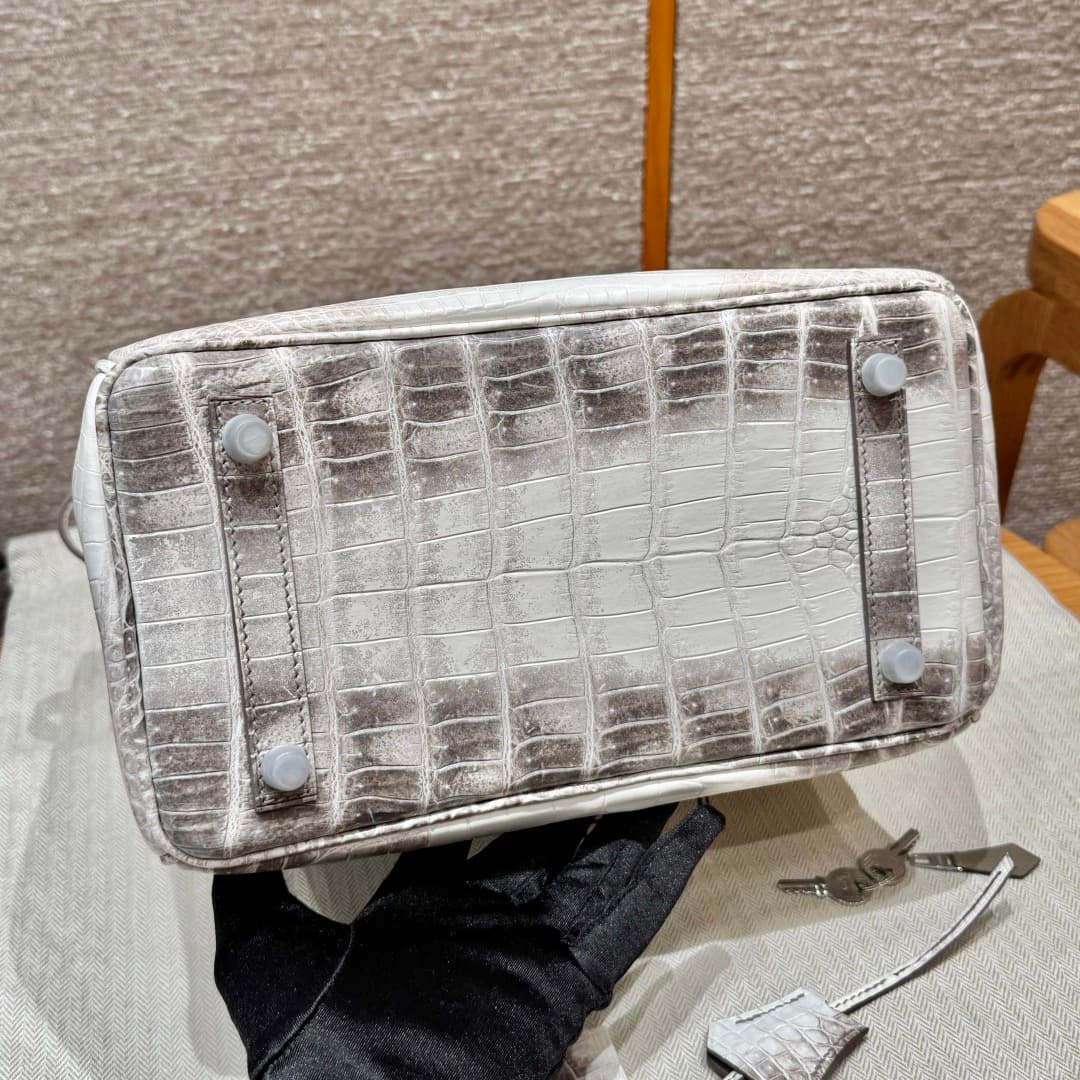 Hermès Birkin 25 Himalaya - Niloticus Crocodile (Silver Hardware) image 7