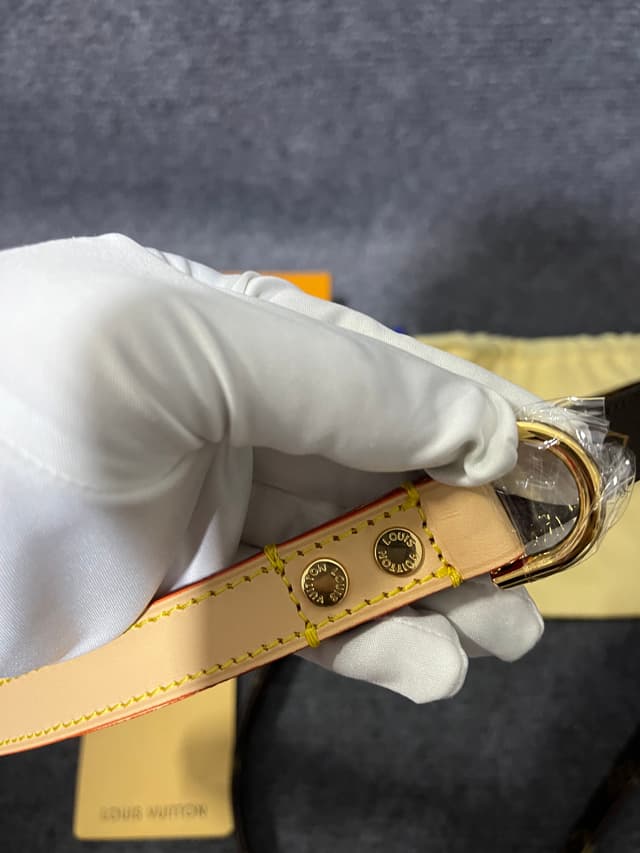 Louis Vuitton Mirror quality Genuine Leather Dog Leash, Pet Walking Strap With Cute Dog Pendant | Yupoo Rep Belts image 8