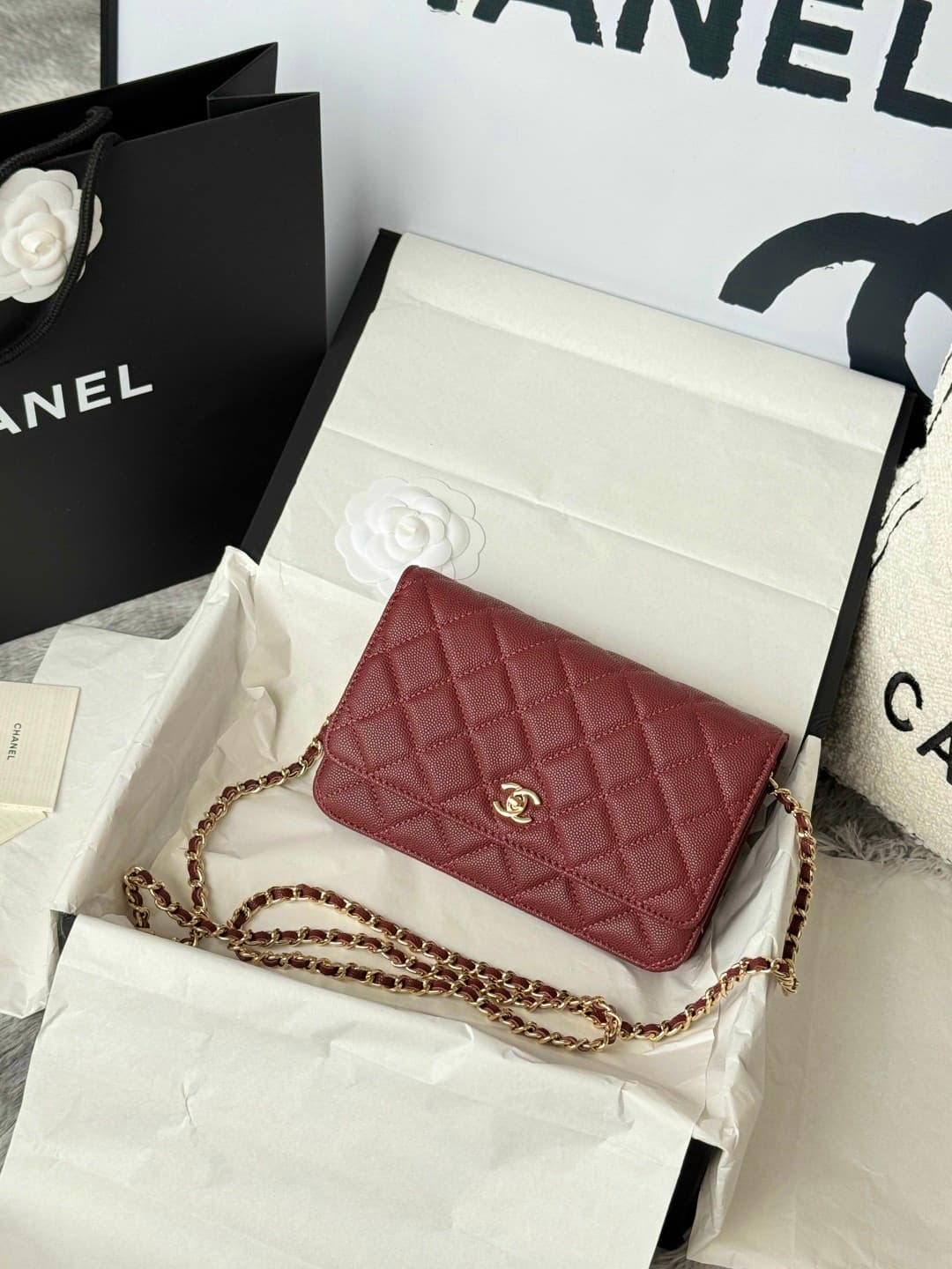 Rep Bag Chanel WOC Chain Wallet – AP4291 image 2