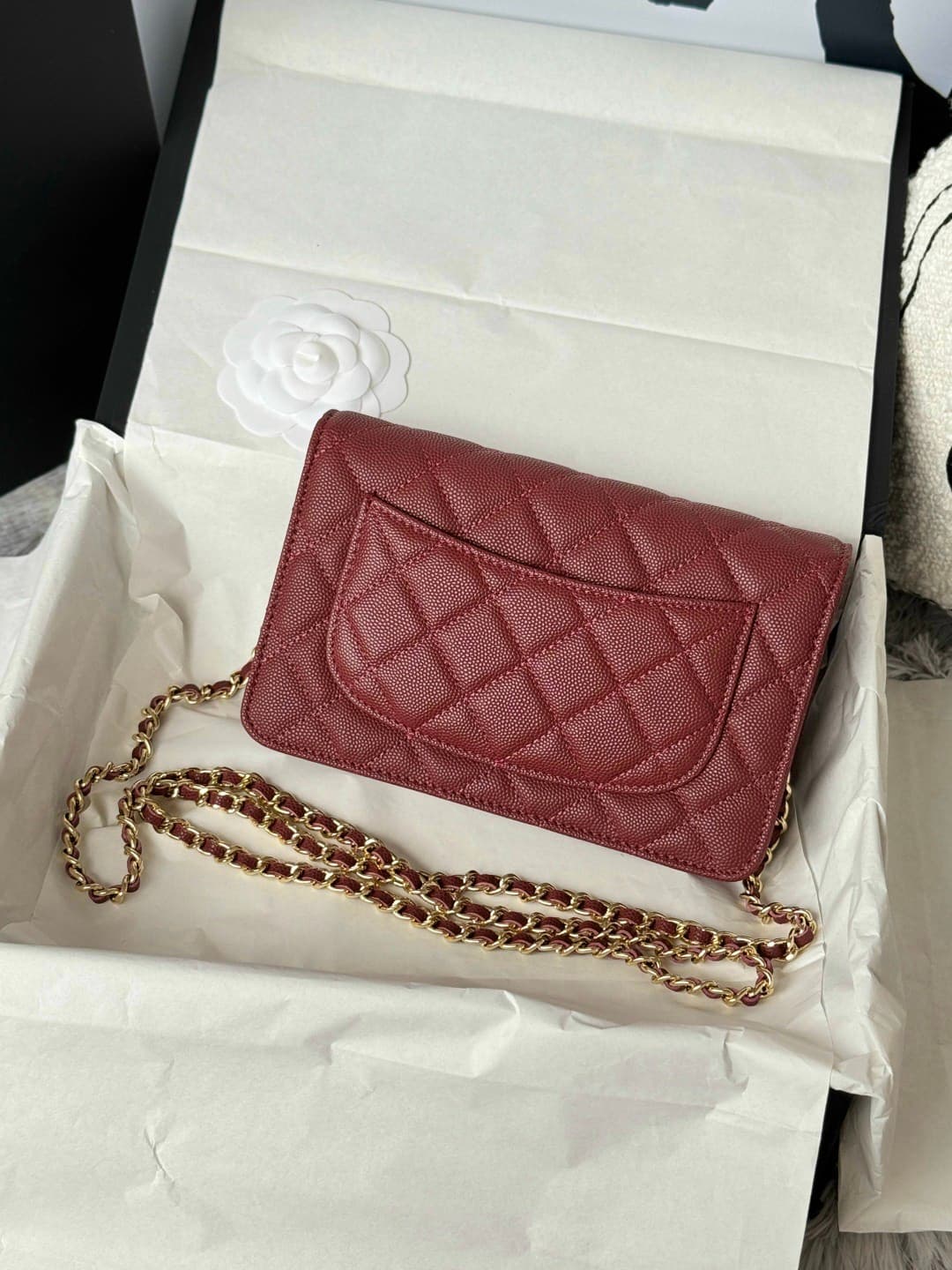 Rep Bag Chanel WOC Chain Wallet – AP4291 image 8