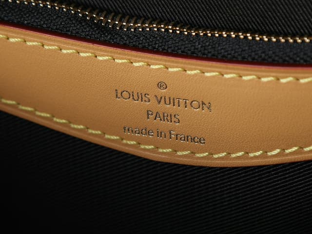 Rep Bag Louis Vuitton Diane Handbag – M45985 | Yupoo image 9