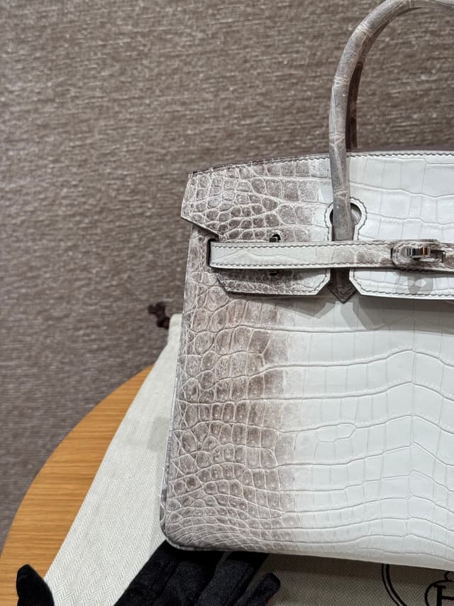 Hermès Birkin 25 Himalaya - Niloticus Crocodile (Silver Hardware) | Yupoo Rep Bags image 2