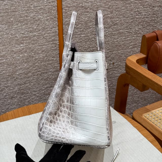 Hermès Birkin 25 Himalaya - Niloticus Crocodile (Silver Hardware) | Yupoo Rep Bags image 4