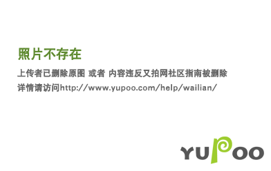 Yeezy 500 | Yupoo Rep Sneakers (Ref 584) image 7